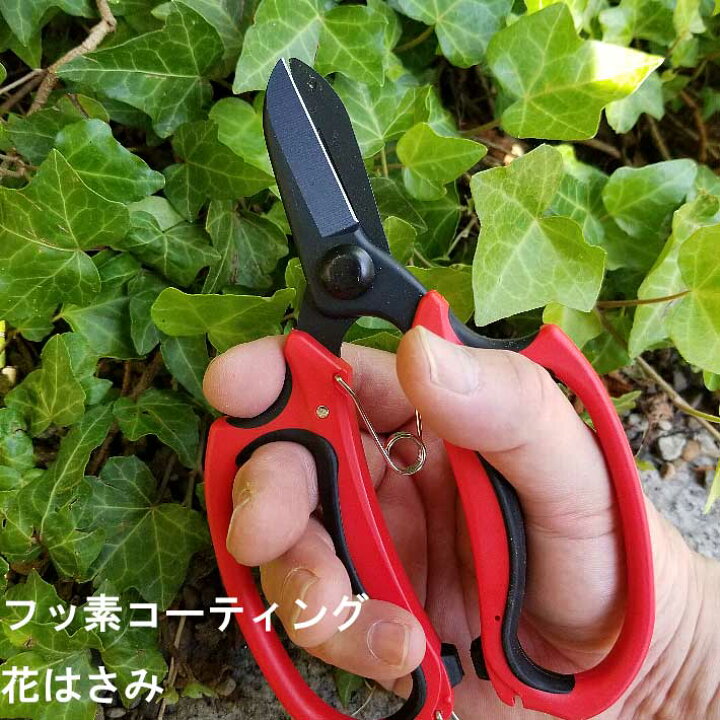 楽天市場 フッ素コーティング花はさみ 22 剪定ばさみ ガーデニング 剪定はさみ 剪定ハサミ 花ハサミ 剪定バサミ 枝きり 盆栽 生花用 花鋏 園芸 用品 用具 剪定用 ガーデン 雑貨 園芸ハサミ 剪定 ガーデン用品 資材 グッズ 庭 ｂ ｂセレクト楽天市場店