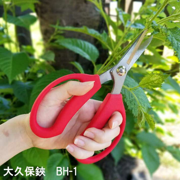 楽天市場 スーパーsale ポイント2倍 大久保鋏 Bh 1 ガーデニング 剪定はさみ 剪定ハサミ 剪定バサミ 生花用 花鋏 園芸用品 雑貨 雑貨 園芸ハサミ 剪定 ガーデニング用品 ハサミ はさみ 庭 植木鋏 植木ハサミ 花ばさみ 園芸はさみ ガーデン用品剪定 ｂ ｂセレクト