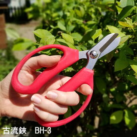 楽天市場 花 切り ハサミの通販