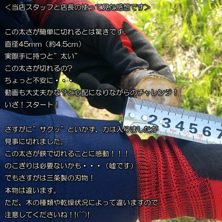 楽天市場 マラソン期間 ポイント10倍 ラクぎりミニ太枝切鋏om 600 刈りこみ 刈込鋏 植木 剪定ばさみ 刈り込みばさみ 枝切り バサミ 剪定鋏 刈り込みバサミ 鋏 剪定ハサミ ハサミ 刈り込み鋏 枝切りはさみ 園芸はさみ 剪定はさみ 太枝切り鋏 園芸用品 剪定バサミ 枝切り