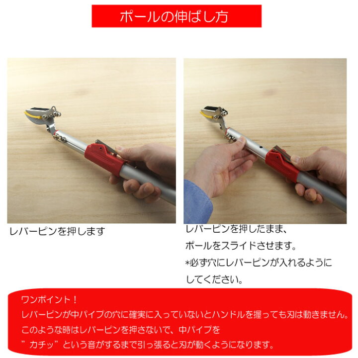 楽天市場】伸縮式高枝切りばさみ アンビル刃 赤色 のこぎり付 ( 剪定ばさみ はさみ 軽量 ガーデニング 剪定 庭木 高枝切り 園芸用品 枝切りバサミ ハサミ 庭 伸縮 剪定 剪定はさみ 枝切り鋏 枝切りはさみ 剪定ハサミ 高枝切りばさみ 高枝切り鋏 ) : B・Bセレクト楽天市場店 楽天市場】伸縮式高枝切りばさみ アンビル刃 赤色 のこぎり付 ( 剪定ばさみ はさみ 軽量 ガーデニング 剪定 庭木 高枝切り 園芸用品 枝切りバサミ ハサミ 庭 伸縮 剪定 剪定はさみ 枝切り鋏 枝切りはさみ 剪定ハサミ 高枝切りばさみ 高枝切り鋏 ) : B・Bセレクト楽天市場店