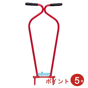 苗 パンチ 芝の人気商品 通販 価格比較 価格 Com