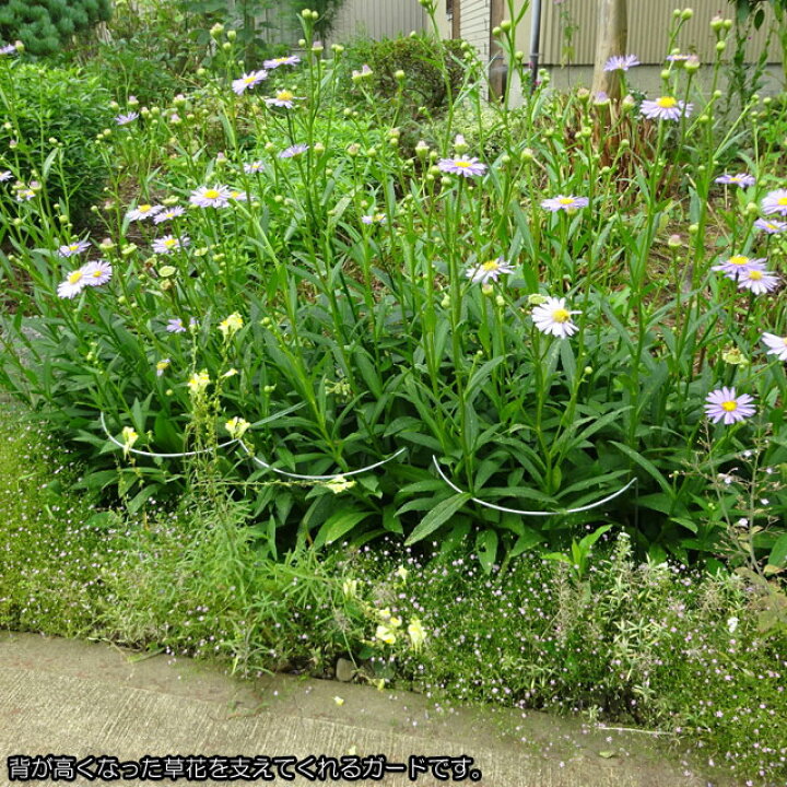 楽天市場 フラワーガード404 1 5ヶセット おしゃれ ガーデニング フラワースタンド アイアン ガーデニング雑貨 園芸用品 ガーデン用品 室内 ガーデニング用品 ガーデン雑貨 鉢 園芸用資材 雑品 プランタースタンド 植木鉢 ポットスタンド 鉢置き 花台 プラント