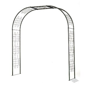 t[A[` GNZg170G No212 ( ΂ o A[`  |pi ΂ o KN  G tFX ΂A[` [YA[` GNXeA ObY KNA[` K[fA