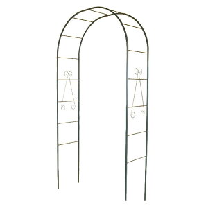 t[A[` y^XO[ No216 ( ΂ o A[`  |pi ΂ o KN  G tFX ΂A[` [YA[` GNXeA ObY KNA[` K[f