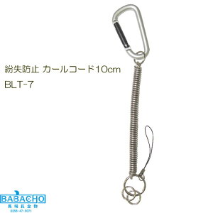 h~ J[R[h10cm BLT-7 ( Jri L[z_[ AEghA Zbg L[O L[ ANZT[  z_[   JM h~ c[ ֗ ObY | h~ AC