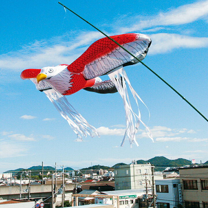 楽天市場 龍宝丸 鳥追い暴れん坊タカ K 901 ベランダ 鳥よけグッズ 鳩よけ 鳥 害 撃退 カラス 対策 グッズ 鳩対策 駆除 ハトよけ 防鳥 鳥よけ 鳩 害鳥 ガード 園芸用品その他 園芸用資材 雑品 ガーデニング 家庭菜園 畑 鳥獣対策 鳥害対策 はと 鳥対策 ｂ ｂ