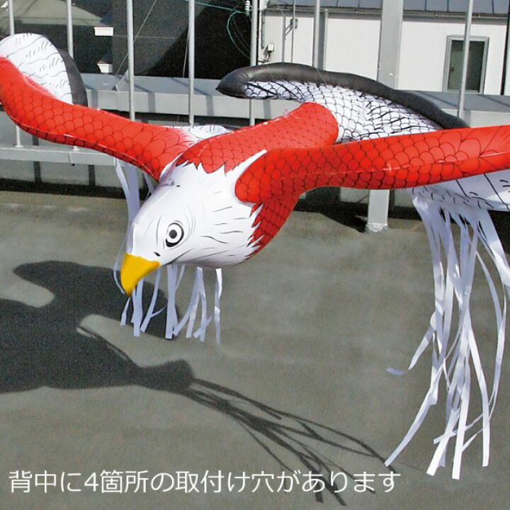 鳥よけ グッズ まいっ鷹 カイト鷹 カラス スズメ 撃退 防獣 防鳥 鳥よけ対策 最大10 Offクーポン 鳥よけ対策