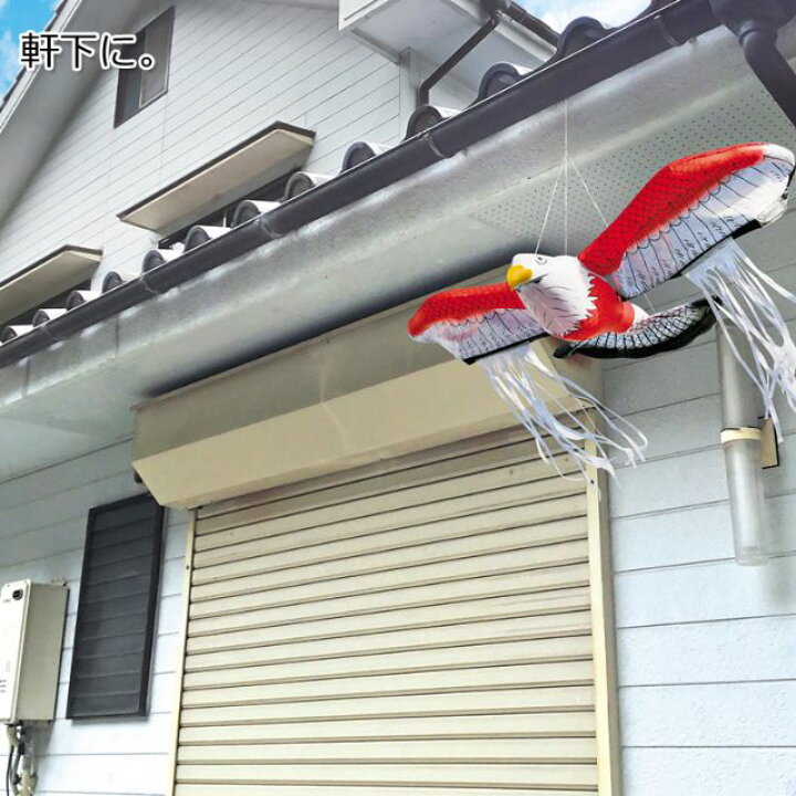 楽天市場 龍宝丸 鳥追い暴れん坊タカ K 901 ベランダ 鳥よけグッズ 鳩よけ 鳥 害 撃退 カラス 対策 グッズ 鳩対策 駆除 ハトよけ 防鳥 鳥よけ 鳩 害鳥 ガード 園芸用品その他 園芸用資材 雑品 ガーデニング 家庭菜園 畑 鳥獣対策 鳥害対策 はと 鳥対策 ｂ ｂ