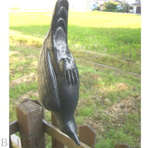 ベランダ 鳩よけの人気商品 通販 価格比較 価格 Com