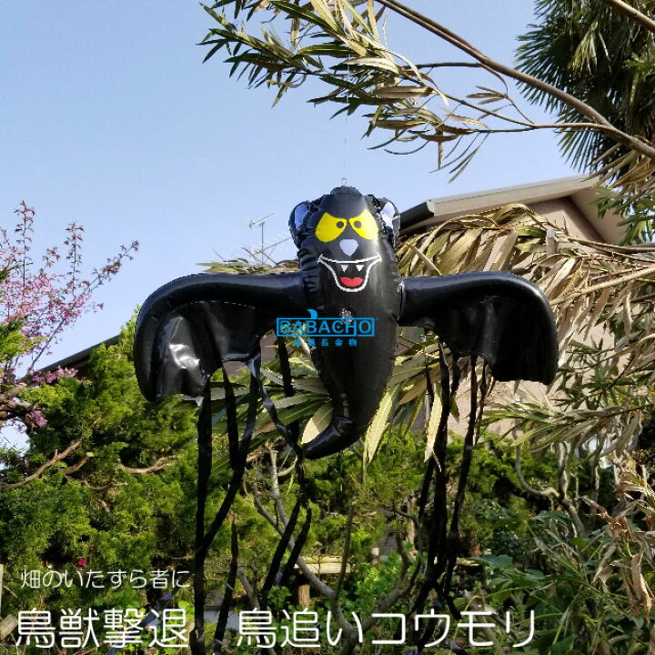 楽天市場 龍宝丸 鳥追いコウモリくん K 003 ベランダ 鳥よけグッズ 鳩よけ 鳥 害 撃退 カラス 対策 グッズ 鳩対策 駆除 ハトよけ 防鳥 鳥よけ 鳩 害鳥 ガード 園芸用品その他 園芸用資材 雑品 ガーデニング 家庭菜園 畑 鳥獣対策 鳥害対策 はと 鳥対策 b b 楽天市場 龍宝丸 鳥追いコウモリくん K 003 ベランダ 鳥よけグッズ 鳩よけ 鳥 害 撃退 カラス 対策 グッズ 鳩対策 駆除 ハトよけ 防鳥 鳥よけ 鳩 害鳥 ガード 園芸用品その他 園芸用資材 雑品 ガーデニング 家庭菜園 畑 鳥獣対策 鳥害対策 はと 鳥対策 b b