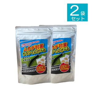 2Zbg Jf΍ 炵łɂ`30 ( ΍   ObY G 쏜 K[fjO ގ    ގ ΍  쏜 h AEghA Lv Q΍ _ _ E