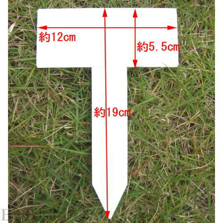 楽天市場 Fg T型フラワーラベル5枚入 小 No0127 園芸 ガーデニング ラベル ネームプレート ネームラベル ネーム 名前 園芸用品 庭園 花 プレート 名札 樹木 野菜 花壇用 雑貨 園芸ラベル ガーデニング雑貨 グッズ 手入れ ガーデニング用品 園芸 ｂ ｂセレクト楽天