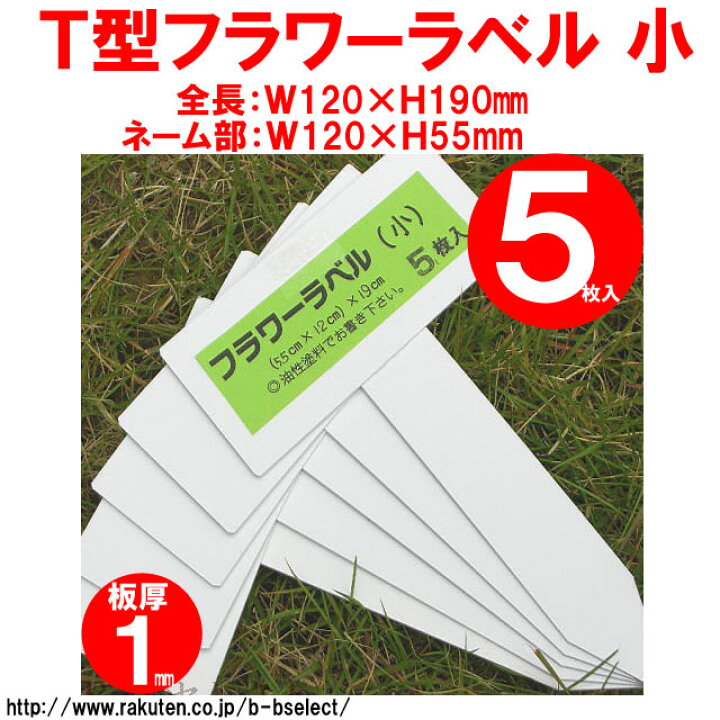 楽天市場】FG T型フラワーラベル5枚入 小 No012897(園芸 ガーデニング 