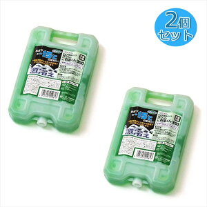 氷点下保冷パックの2個セット ガツンとこおるくん(ハードタイプ)350型2個セット ( 保冷剤 長時間 便利グッズ アウトドア キャンプ 用品 スポーツ クーラー バック 保冷 パック ボックス ク