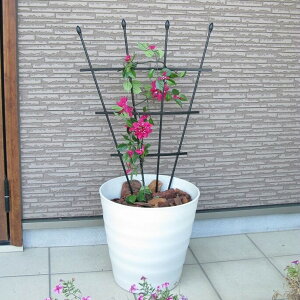 񂷌^gX 50cm×90cm ( K[fjO G gX tFX IxXN K[fjOpi x |pi  A v^[ ObY  K[fpi | )