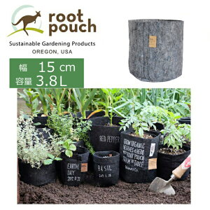 Root Pouch [c|[`Ȃ 1 𐫃^Cv a15cm 3.8L O[ ( x_ v^[ G K[fjO  K[f | G   ܂ y|bg 񂹐A ƒ؉ Aؔ 