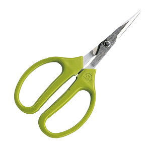 ARS V[vNtgn \n No330S-MinT~ Ntgp hV̓ )(H diy Ɨpi jH Ntg pG pi ͂  NtgnT~ Ntg͂ nT~  hV