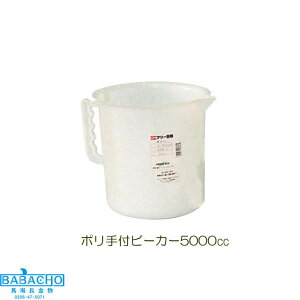 GA�@B-5000�@�|����t�r�[�J�[5000