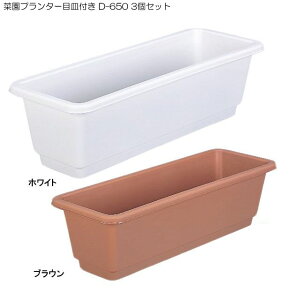 ؉v^[ڎMt D-650 3Zbg ( K[fjO v^[ [^ ܂ y|bg |pi K[fjOG G x_ ObY K[fjOpi   K[fpi |