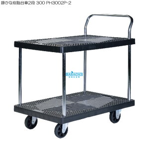 ÂȎ2i 300 PH3002P-2 ( ObY _ ֗ LX^[t S K[fjO  É LX^[ Ɩp K[fpi |pi ƒ؉ K[fjOpi i 艟 