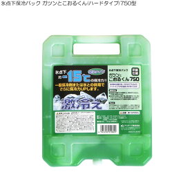 氷点下保冷パック ガツンとこおるくん(ハードタイプ)750型 ( 保冷剤 長時間 便利グッズ アウトドア キャンプ 用品 スポーツ クーラー バック 保冷 パック ボックス クール グッズ バーベキュー アイスパック クール )