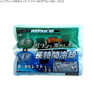 nCubhۗpbN nCp[W(_u) HW|300( N[[{bNX  ۗ N[[ {bNX ނ ֗ObY AEghA N[[obO Lv Lvpi X|[c v[