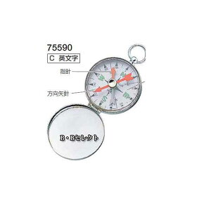 V RpXiICj C pIC No75590