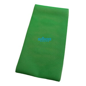 炩lbg 50cm×100cm ʖ [(| K[fjO K[fjO K[f K[fjO E| v^[ Aؔ ƒ؉ K[fjOG _ |pi _Ǝ | 