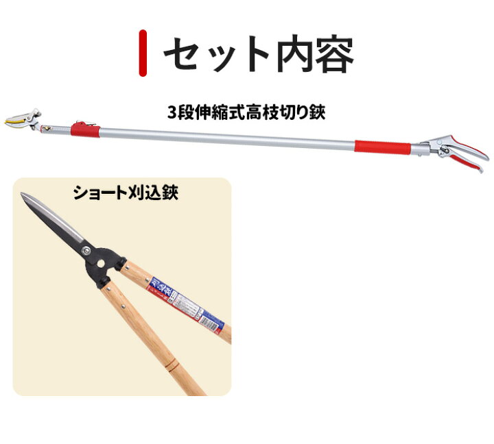 楽天市場】レディース園芸2点セット(3段階伸縮式高枝切鋏＆ショート 