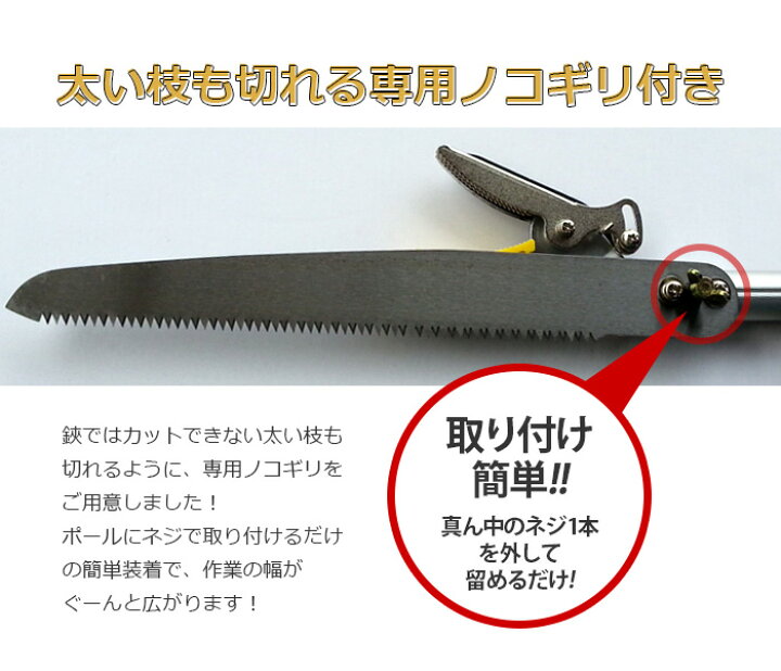 楽天市場 レディース園芸3点セット 3段階伸縮式高枝切鋏 剪定鋏 小 折込鋸 ｂ ｂセレクト楽天市場店