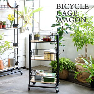 }bV oCVNP[WS BCW-440 (    ϗt A v^[ bN S t[  AeB[N k K[f ؐ CeA  Lb` S X`[ 