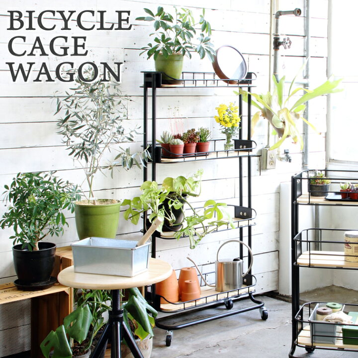 楽天市場】マッシュ バイシクルケージラック BCR-640 (観葉植物 棚  