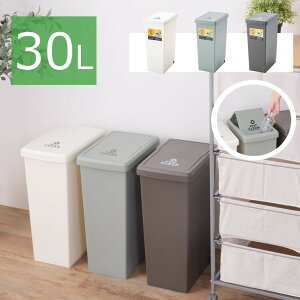 30L 30bg ݔ LX^[t _Xg{bNX LFS-762 ( S~ ݂΂ S~ ӂ Wt Lb` ^ S~ e  B  CeA Vv pbL t ܎~ 