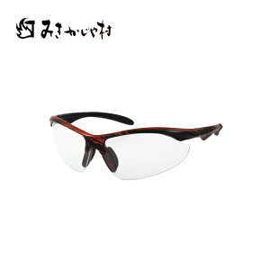 [LOOXPRO NATS046 ݂⑺ ( ی상Kl 򗈕 O IV  ی ߂˃TOX ዾ Kl S[O  W[ )