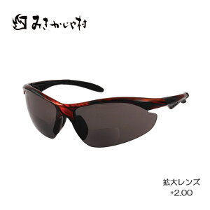 [LOOXPRO X[N V჌Yt2.00TS047 ݂⑺ ( ی상Kl 򗈕 O IV  ی ߂˃TOX ዾ Kl S[O  W[ )