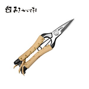  7C` ~ {vTS131 ݂⑺ ( ΂ ͂ nT~ \  K[fjO |pi G | oT~ ͂ nT~ ԗp  } }؂