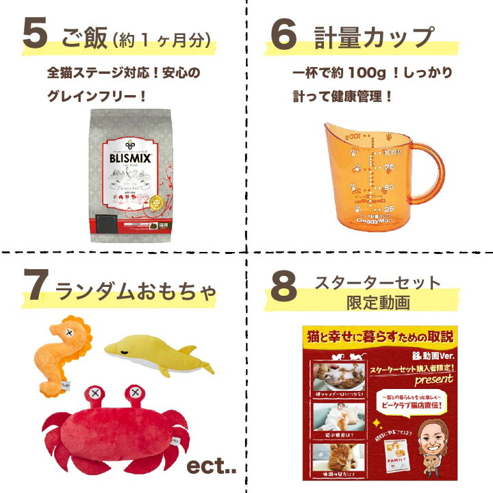 楽天市場】子猫お迎えケージセット 送料無料 初心者 初めての飼育は 