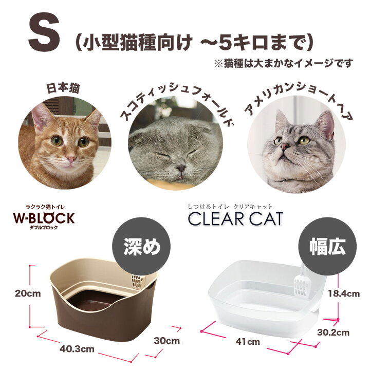 楽天市場】子猫お迎えケージセット 送料無料 初心者 初めての飼育は 