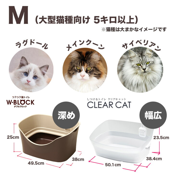 楽天市場】子猫お迎えケージセット 送料無料 初心者 初めての飼育は 