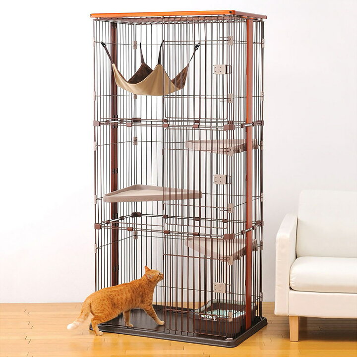 楽天市場】子猫お迎えケージセット 送料無料 初心者 初めての飼育は  