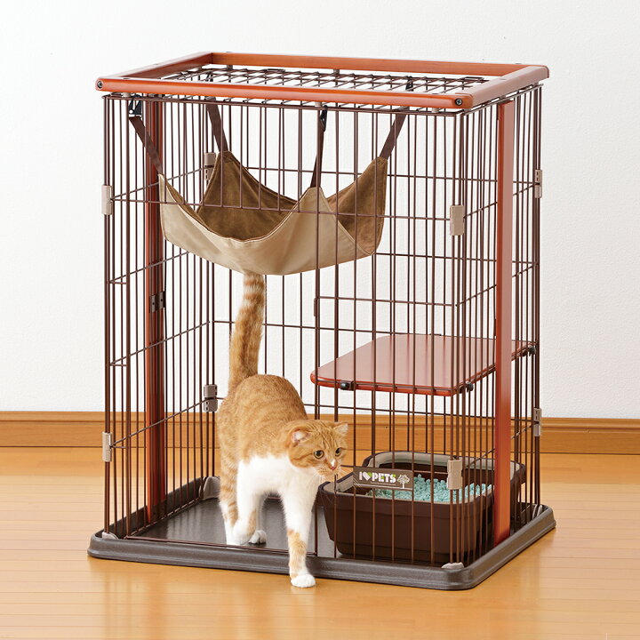 楽天市場】子猫お迎えケージセット 送料無料 初心者 初めての飼育は  