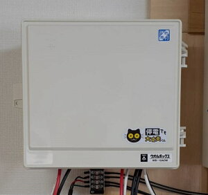 �u��d�ł����v����vUPS�P��3�������d�Վ����؊���P���o��100A�؊���g�p �R�C���d��AC110V(AC100V)�؊�����50ms�I