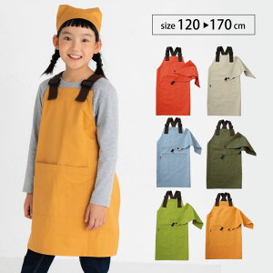 stample GvOp eq X^v AEghA Op Jo[I[ [NGv Op qp w wj  ObY w K H ƒ   ۈ牀 