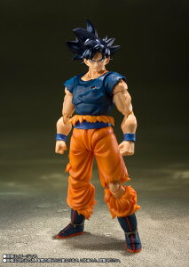 S.H.Figuarts  g̋ɈӁgh uhS{[vhς݉tBMAyJz