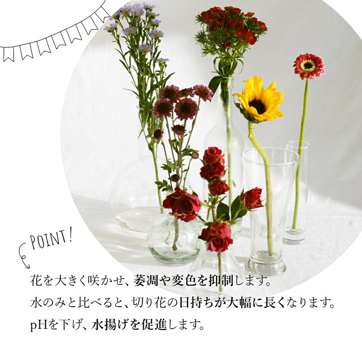楽天市場 クリザール 100袋 切り花 延命剤 切花 長持ち 自宅用 栄養剤 活力剤 仏花 花束 切り花フラワーフード 小袋 粉末 切花栄養剤 雑貨イズム
