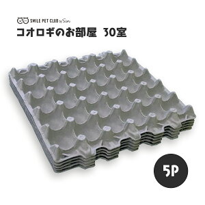 pbN g[ RIM  305 P[X   났 RIM a frA bh[`  ঒ VF^[ e P[X RIM̂