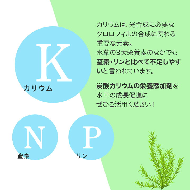 楽天市場 水草栄養添加剤 炭酸カリウム 500g 食品添加物グレード 水質調整 光合成 成長促進 水槽 水質改善 浄化 日本製 雑貨イズム
