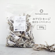 ホワイトセージ 浄化用 枝付き クラスター 約100g THE EARTH GRACE 高品質 無農薬 カリフォルニア産 パワ…