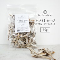 ホワイトセージ 浄化用 枝付き クラスター 約30g THE EARTH GRACE 高品質 無農薬 カリフォルニア産 パワ…